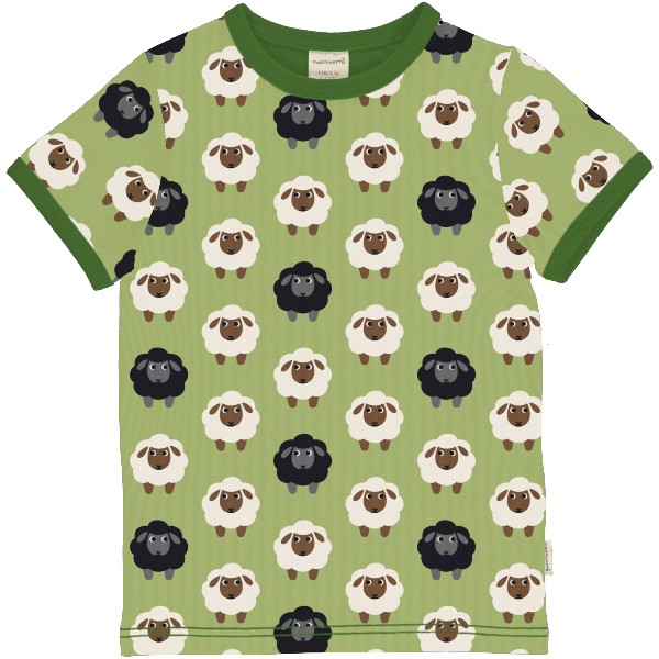 Shirt Sheep