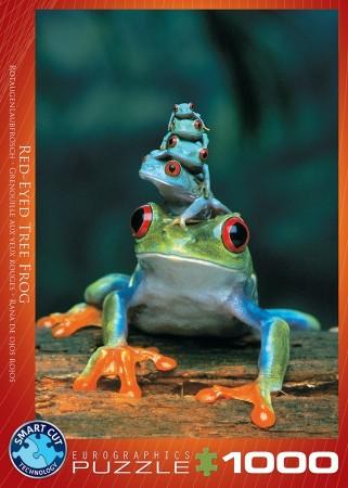 Red_Eyed_Tree_Frog__1000_